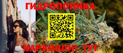 дживик Новодвинск