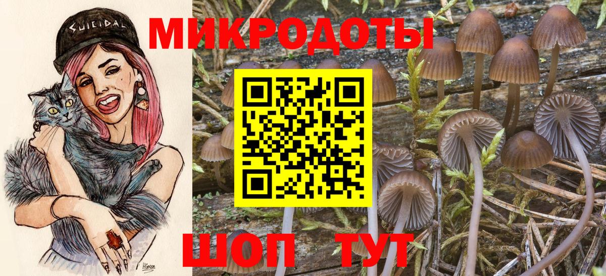 Сегежа  Псилоцибиновые грибы GOLDEN TEACHER  наркошоп  Вход с VPN 